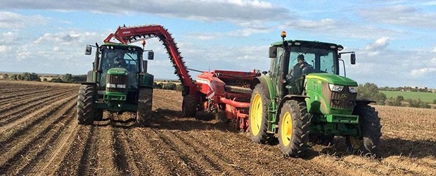 Potato Harvesting Potato Harvesting